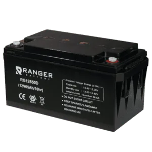 RG-SOLAR-BATTERY-12-65AH